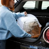 EVCİL HAYVAN TAŞIMA